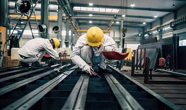 Dinar Fare İlaçlama